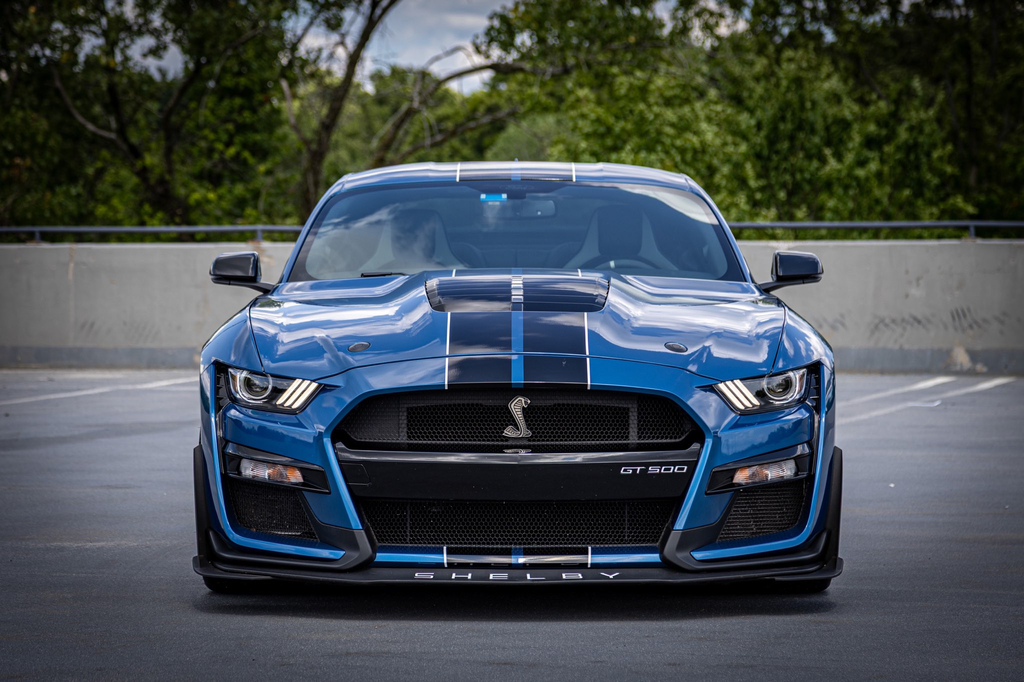 Ford GT 500 — photo 2 of 17