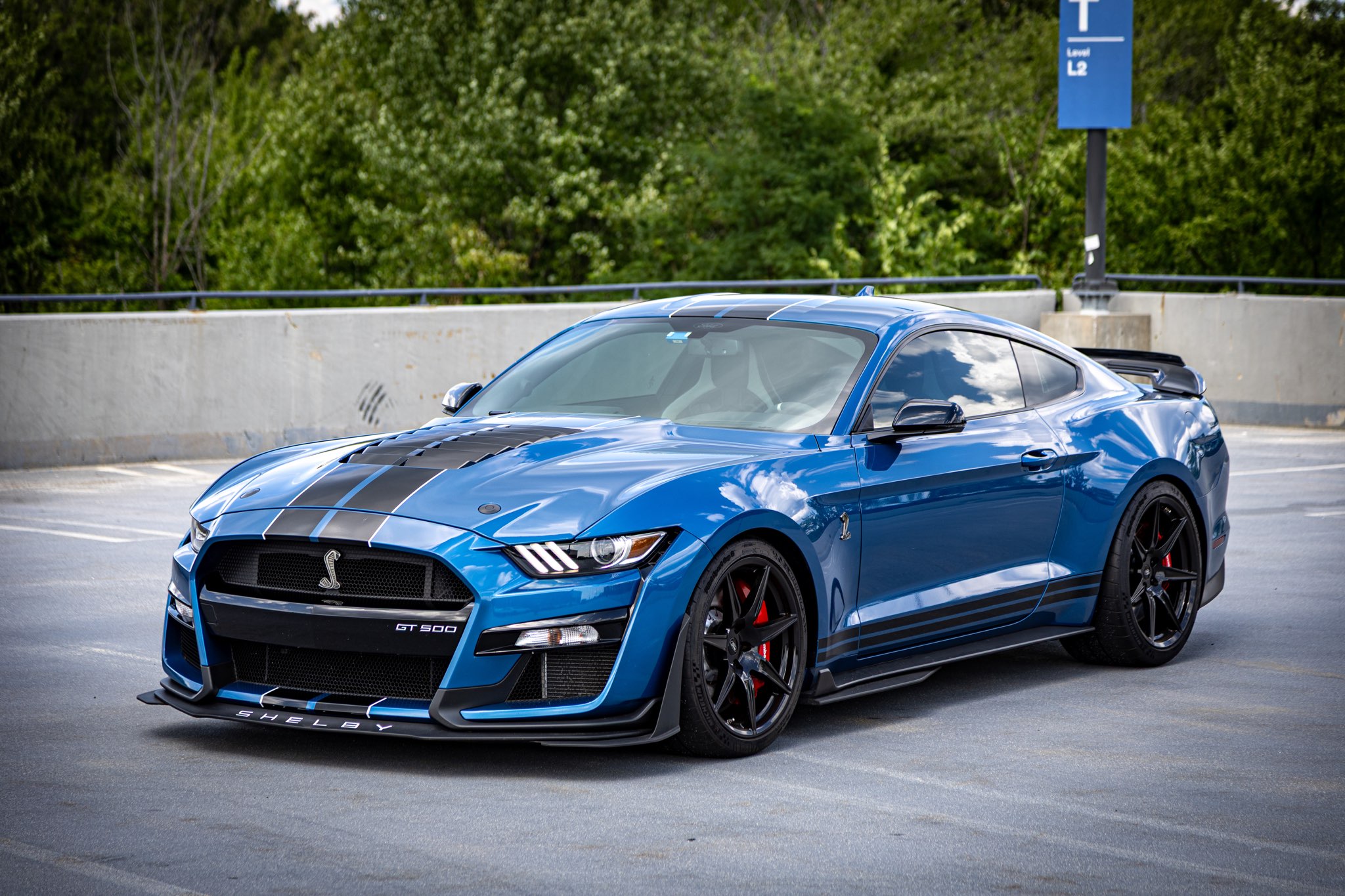Ford GT 500 — photo 3 of 17