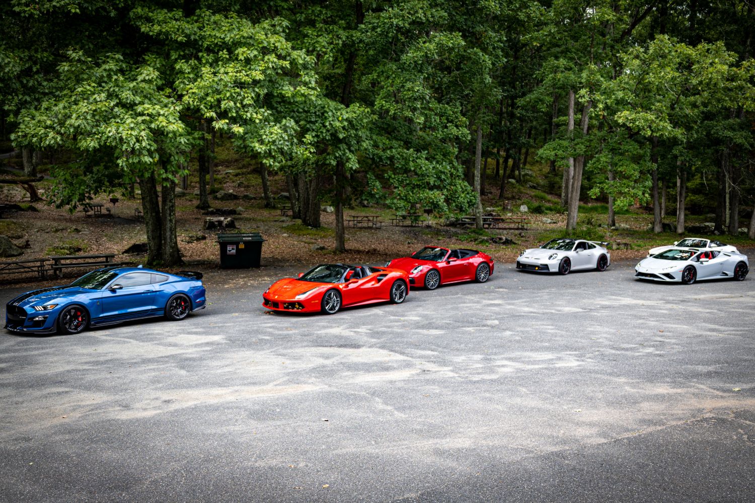 Five tour cars parked at a wooded picnic stop — Shelby GT500, Ferrari 488 Spider, Porsche 911 Cabriolet, 911 GT3 and Lamborghini Huracán Spyder